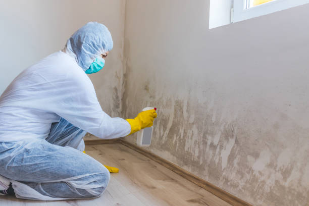 Mold inspector in Whitehall performing thermal imaging