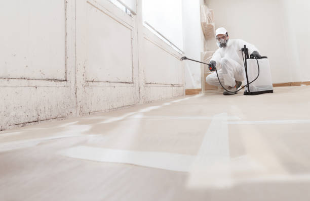 Post-remediation clearance in Whitehall